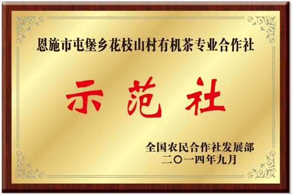 1598516012152.jpg 8.jpg