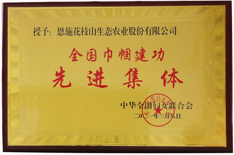 1670816729572.png